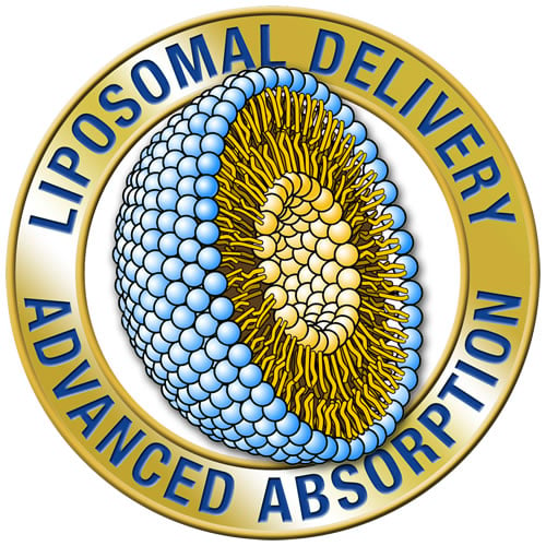 Liposomal Delivery